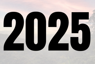2025